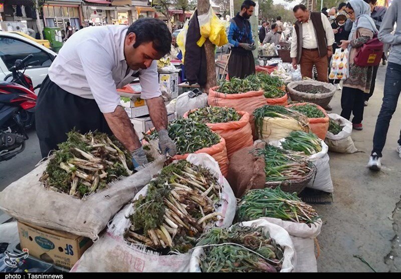 بازار داغ گیاهان بهاری؛ شما اسم این گیاهان را میدانید؟ | با دنیای پرخاصیت گیاهان ارگانیک بهاری بیشتر آشنا شوید | تصاویر