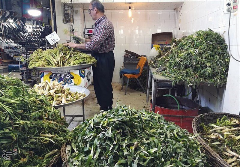 بازار داغ گیاهان بهاری؛ شما اسم این گیاهان را میدانید؟ | با دنیای پرخاصیت گیاهان ارگانیک بهاری بیشتر آشنا شوید | تصاویر گیاهان بهاری