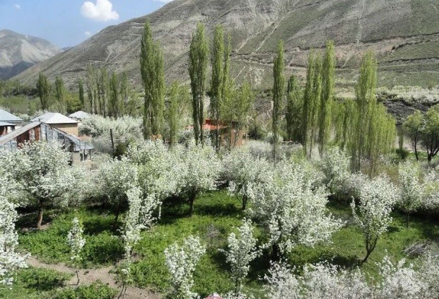 پیادهروی در کوچهباغهایی پرشکوفه | شهرستانک؛ روستایی خوش آب و هوا نزدیک تهران | کاخ ناصری کجاست؟