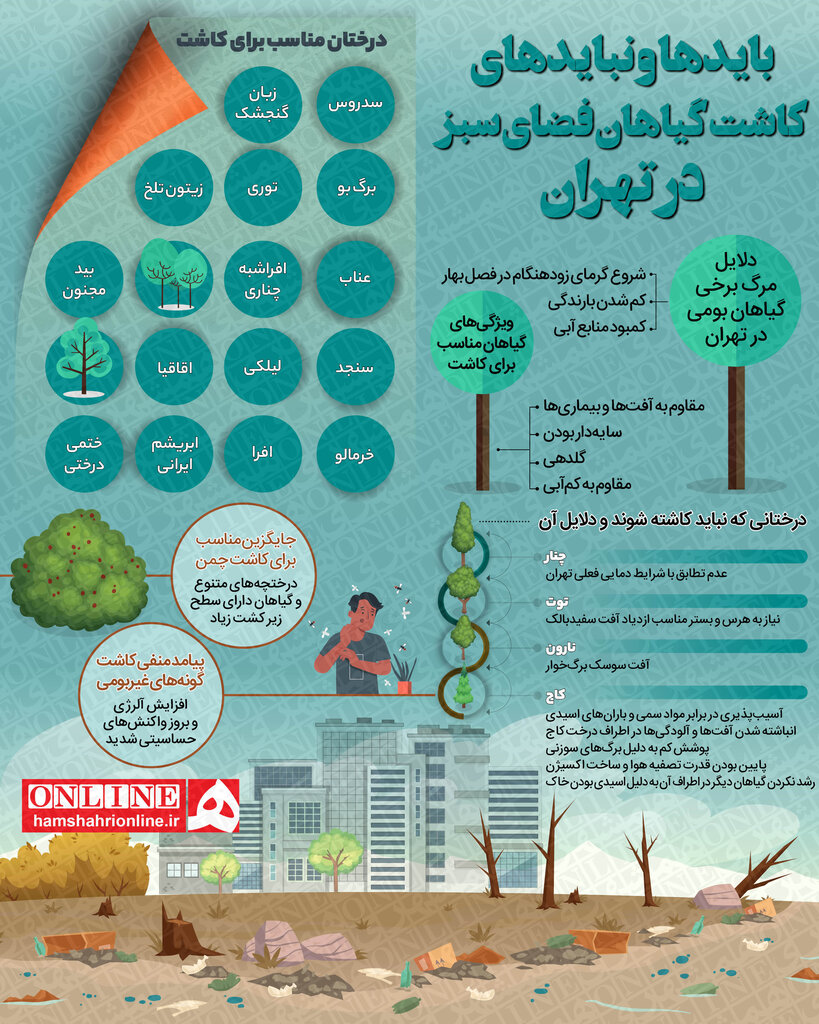 این درختان را هیچ‌وقت در تهران نکارید | چه درخت‌هایی برای کاشت در تهران مناسب هستند؟ | اینفوگرافیک