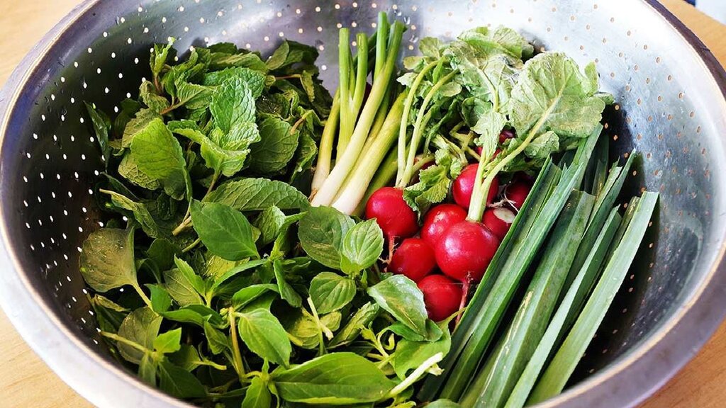 چند ترفند ساده برای تازه نگه داشتن سبزی خوردن برای مدت طولانی