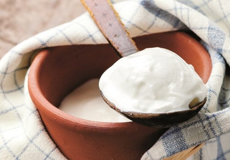 سیستم ایمنی بدنتان را با این مواد غذایی تقویت کنید