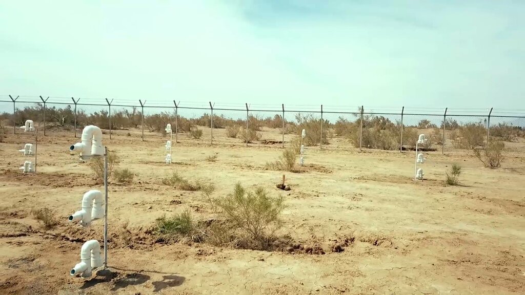رقم عجیب بیابان در ایران | تا سال ۱۴۰۴ مالچپاشی نفتی حدف میشود | چالش دیپلماسی سد راه رهایی از گرد و غبار!