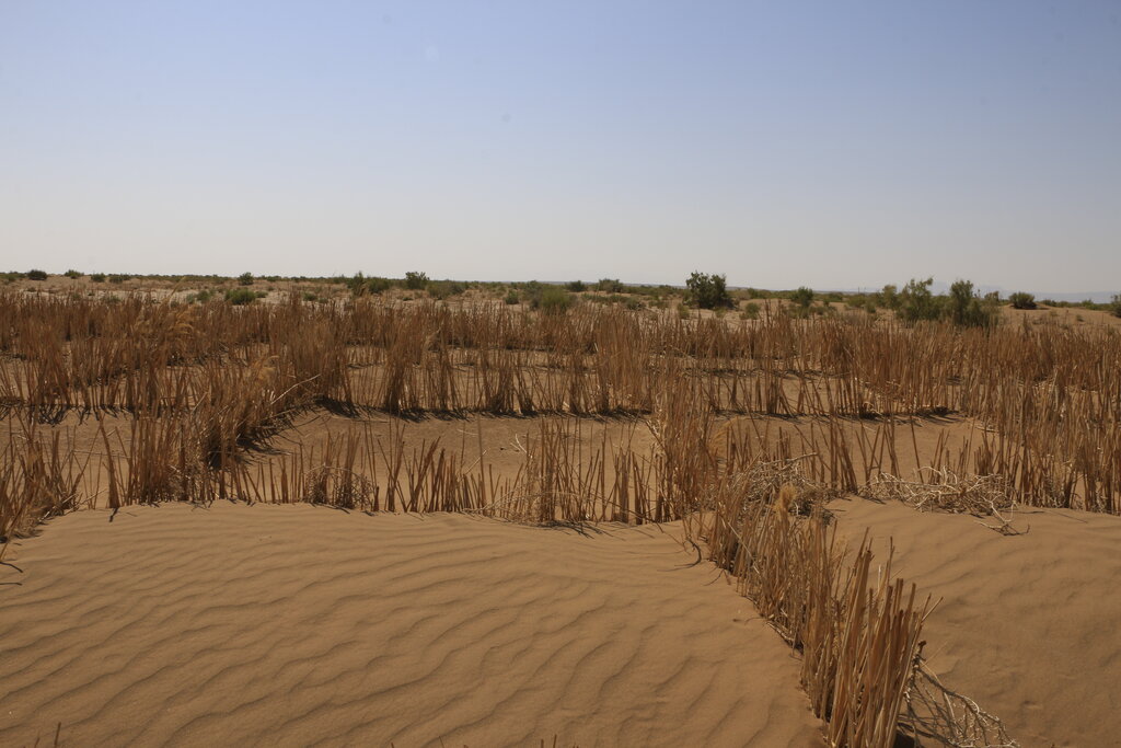 رقم عجیب بیابان در ایران | تا سال ۱۴۰۴ مالچپاشی نفتی حدف میشود | چالش دیپلماسی سد راه رهایی از گرد و غبار!