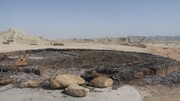 افراد مسلح کپرهای کمپ معروف گردشگری را در چابهار آتش زدند | تصاویر و جزئیات حادثه
