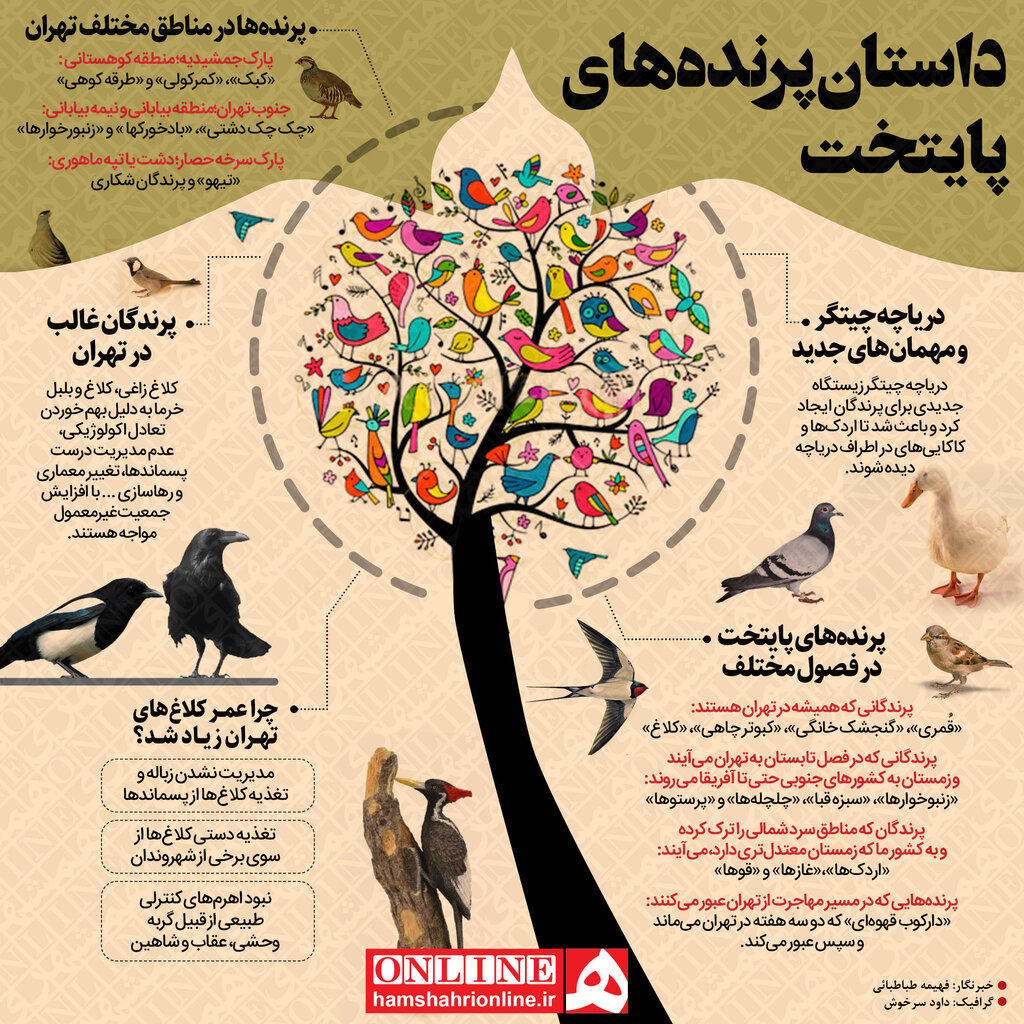 اینفوگرافی| چه پرنده‌های در نقاط مختلف تهران زندگی می‌کنند؟