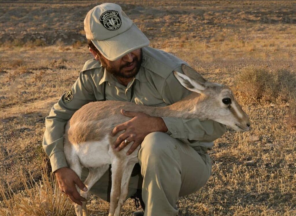 آیا راهی برای اعدام نشدن شهلا جاهد یا آرمان قاتل غزاله وجود داشت؟ | اعلام جزئیاتی تلخ از ماجرای قتل برومند نجفی