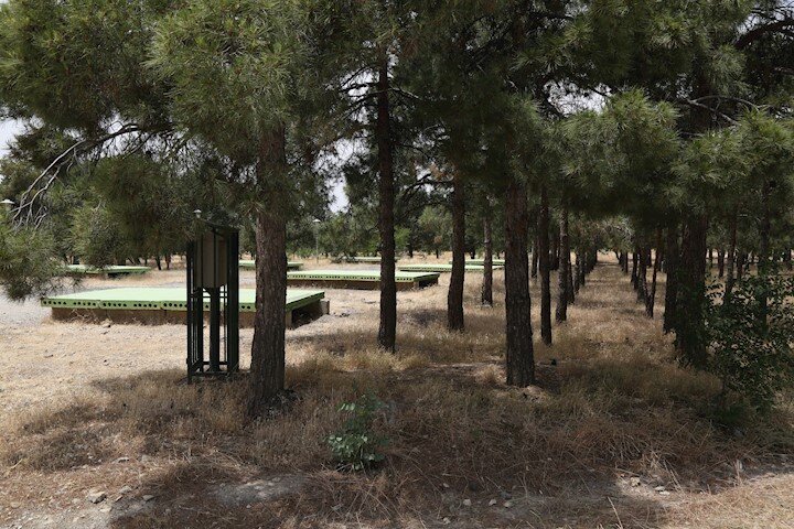 ۲هزار و ۶۰۰ هکتار فضای سبز و جنگل درامان از باد و طوفان