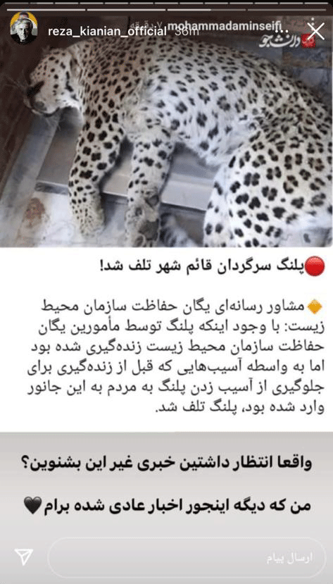 تصاویر | واکنش‌های متفاوت سینماگران به ماجرای پلنگ قائمشهر |  از عکس جالبی که هدیه تهرانی منتشر کرد تا روایت لحظه‌ای پریناز ایزدیار