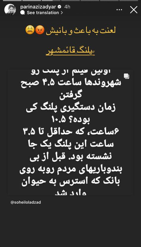تصاویر | واکنشهای متفاوت سینماگران به ماجرای پلنگ قائمشهر | از عکس جالبی که هدیه تهرانی منتشر کرد تا روایت لحظهای پریناز ایزدیار