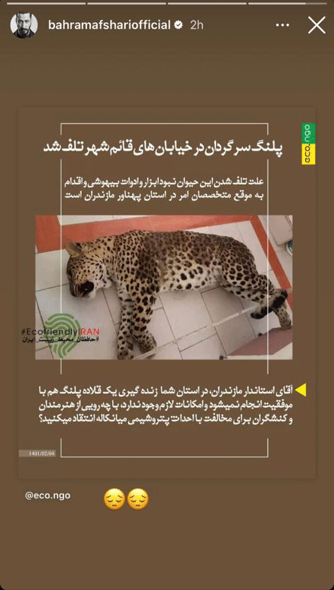 تصاویر | واکنشهای متفاوت سینماگران به ماجرای پلنگ قائمشهر | از عکس جالبی که هدیه تهرانی منتشر کرد تا روایت لحظهای پریناز ایزدیار