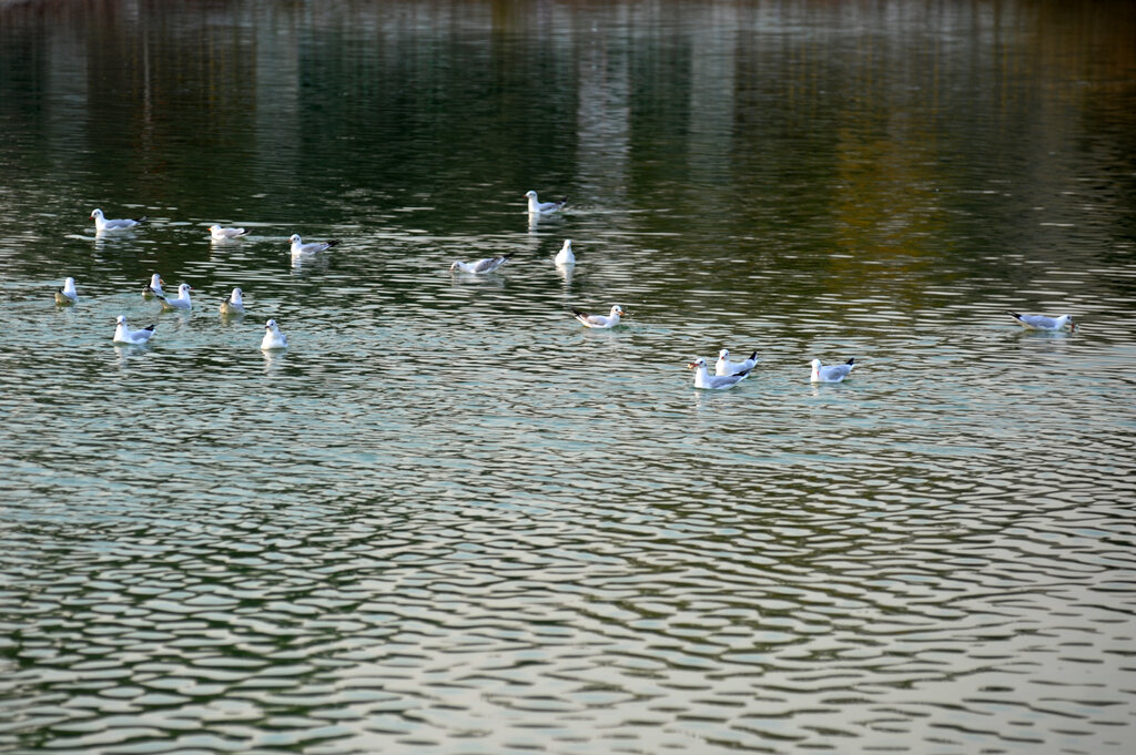 بوستان هفت دروازه اینجاست