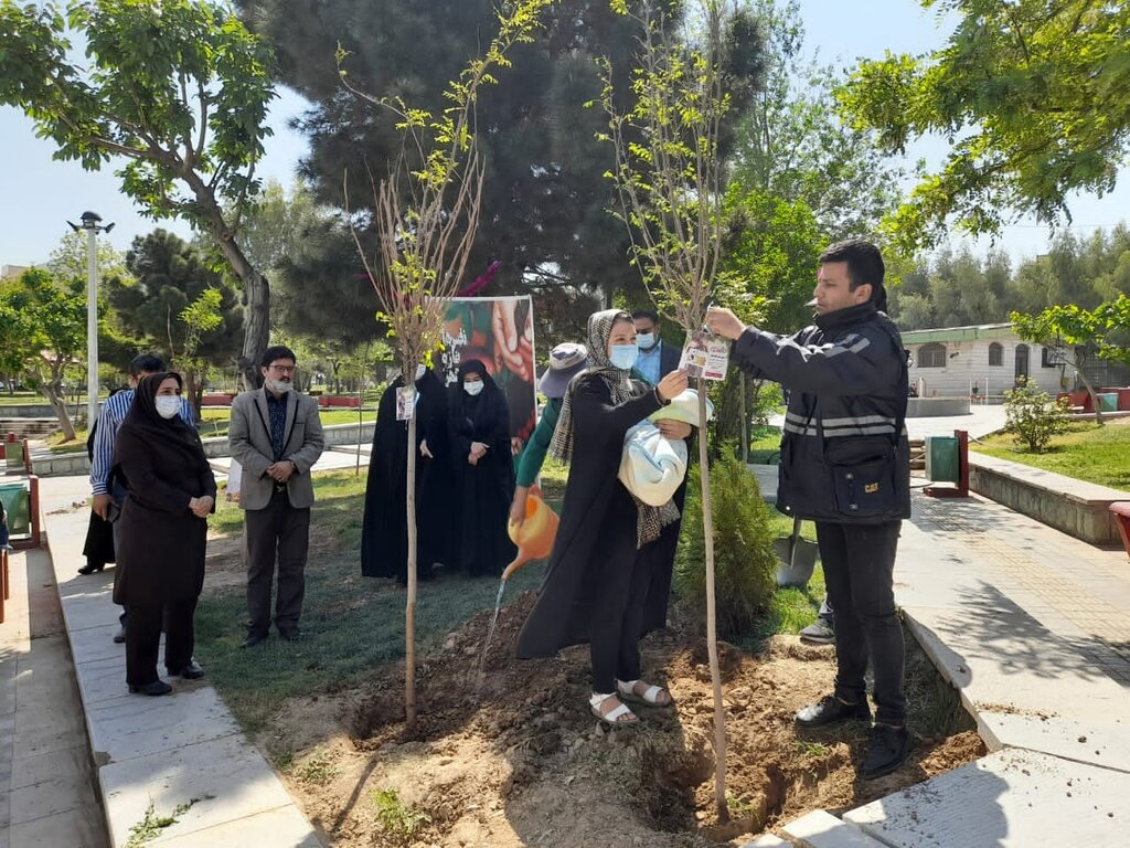 خوشآمدگویی متفاوت به نوزادان تهرانی