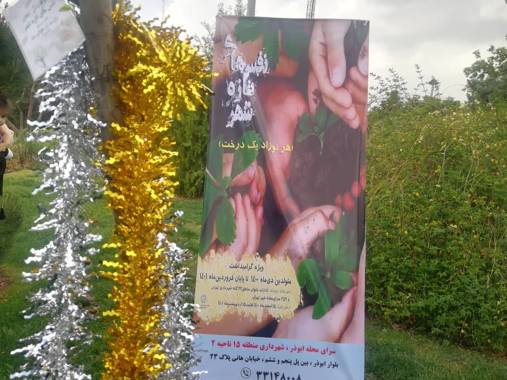 خوش‌آمدگویی متفاوت به نوزادان تهرانی