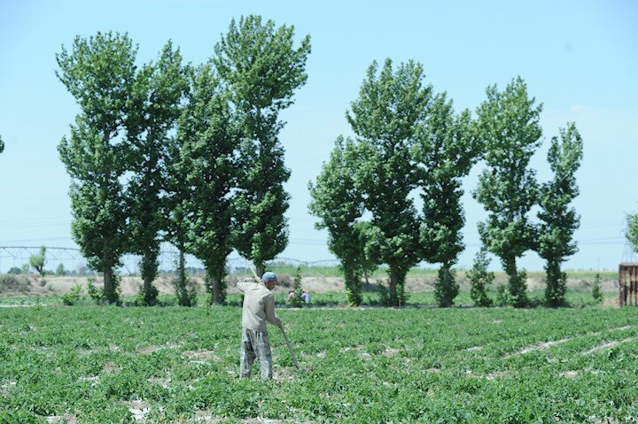 ماجرای تبدیل روستای قمرالسلطنه به پاسگاه نعمتآباد | خانیآبادنو چه بود و چه شد؟ | در بزرگ قلعه نعمتآباد ساعت ۱۰ شب بسته میشد