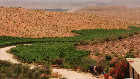 صحرای نقب با سرمایه‌گذاری هنگفتی به محل کشت و زرع اسرائیلی‌ها تبدیل شده است.