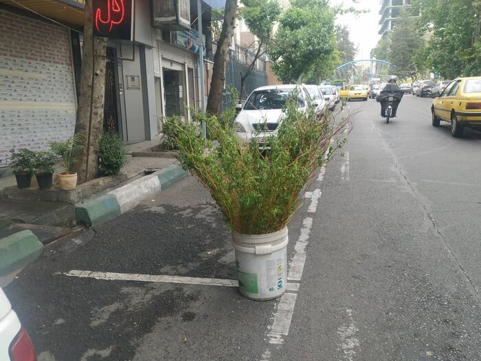 تصرف غیرقانونی معابر عمومی در پایتخت| بیش از هزار زائده فیزیکی موجب سد معبر شدهاند