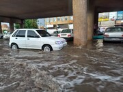 تصاویر عجیب یزد پس از بارندگی سیل‌آسا | سیل‌بند شکست؛ مدارس تعطیل شد