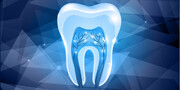 دانشمندان در حال تحقیق برای رشد دادن دندان جایگزین در آزمایشگاه هستند