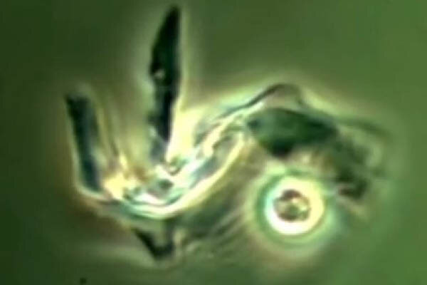 با ادرار کردن چه چیزی را از بدنتان دفع می‌کنید؟