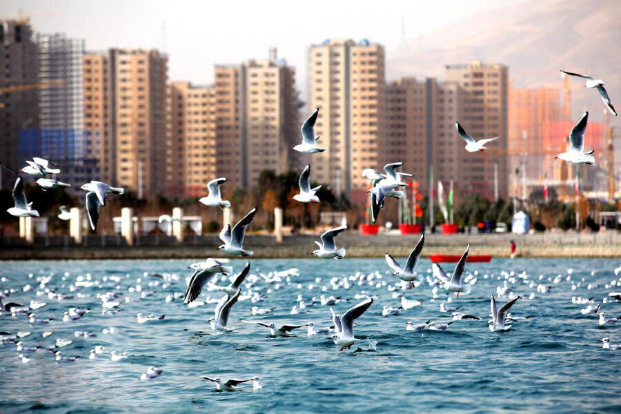 6 نکته جالب در مورد بی‌نظیرترین دریاچه خاورمیانه
