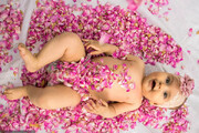 تصاویر غلتاندن نوزادان در گل | گل غلتان ؛ لطیف‌ترین رسم سنتی ایرانی را ببینید