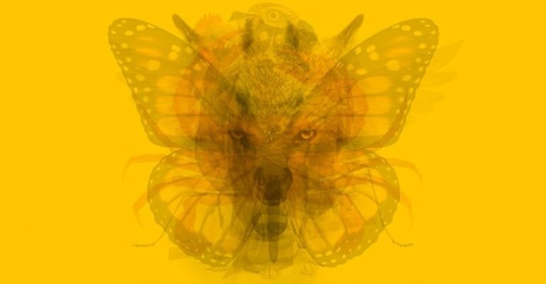 ببینید | تصویری که فاش کننده اسرار درونی شماست | شخصیتشناسی با کمک خطای دید