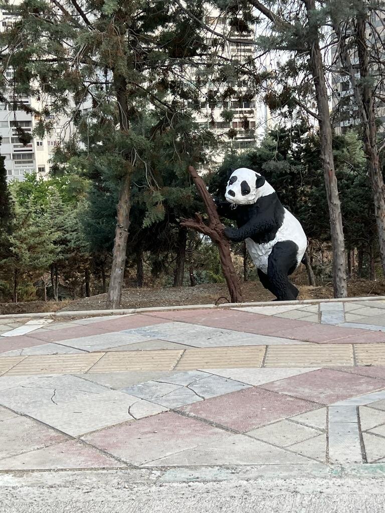 اسکان حیوانات در حال انقراض در بلوار پاکنژاد | رویت خرس قهوهای و قطبی میان برجهای دادمان