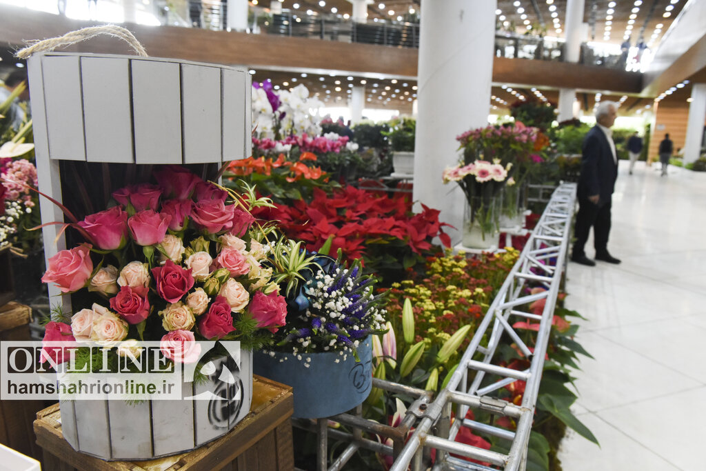 حضور پرنگ مراجعه کنندگان شهرستانها در نمایشگاه گل و گیاه| کرونا علاقه مردم را به فضای سبز افزایش داد