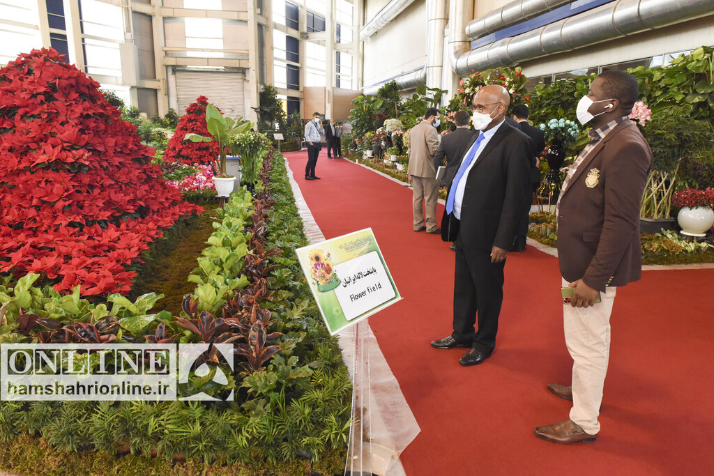 حضور پرنگ مراجعه کنندگان شهرستانها در نمایشگاه گل و گیاه| کرونا علاقه مردم را به فضای سبز افزایش داد