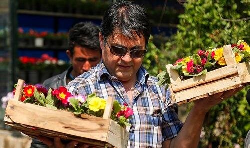 حراج ۸۲ غرفه بازار گلوگیاه غرب تهران