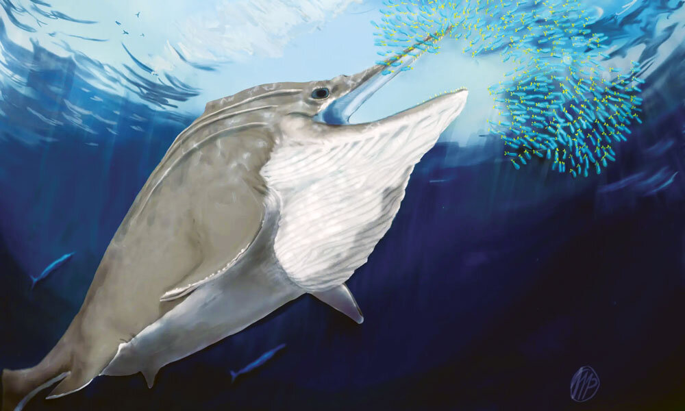 با کفش بازیافتی سوار هواپیمای مافوق صوت شوید!