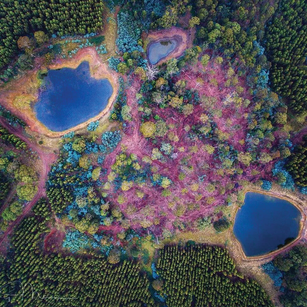 گاهی به پایین نگاه کن!