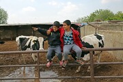 آرزوهای کودکان پرمشغله یافت‌آباد | دکتر شوم، گوساله می‌خرم