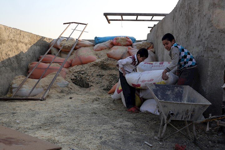 آرزوهای کودکان پرمشغله یافت‌آباد | دکتر شوم، گوساله می‌خرم 