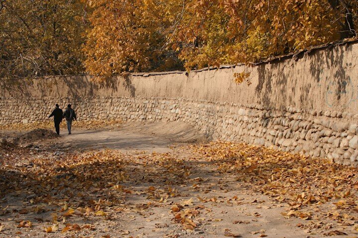 کوچهباغهای پرخاطره دور نیست