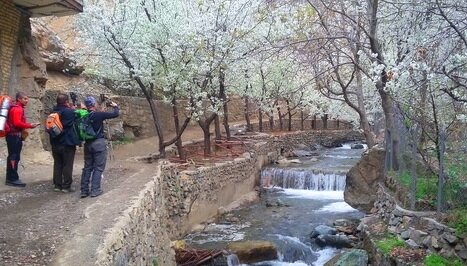 تصویر | روستای شکوفه‌های پایتخت را ببینید | طنازی طبیعت در چند قدمی تهران