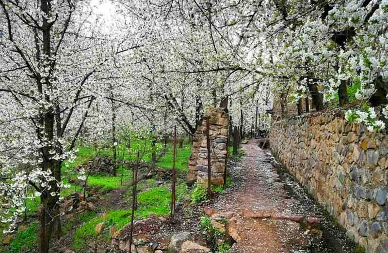 سمفونی برگها در روستاهای غربی تهران