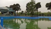 احیای دریاچه شقایق در جنوب تهران  | راه سرقت مرغابی‌ها هم بسته شد