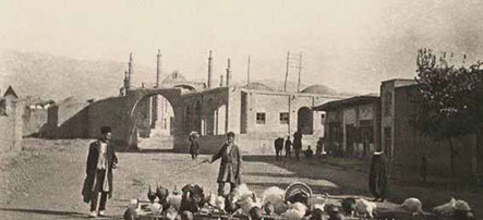 بوقلمونچرانی در پایتخت | ماجرای ورود اولین بوقلمون به ایران