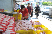 قیمت هر کیلوگرم مرغ در مغازه‌های سطح شهر تهران