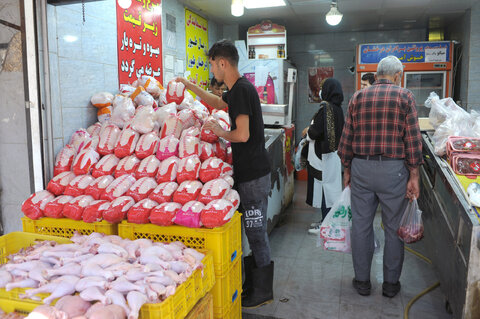 بازار عرضه گوشت مرغ