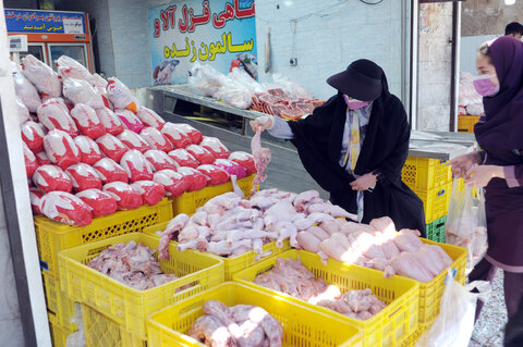 بازار عرضه گوشت مرغ