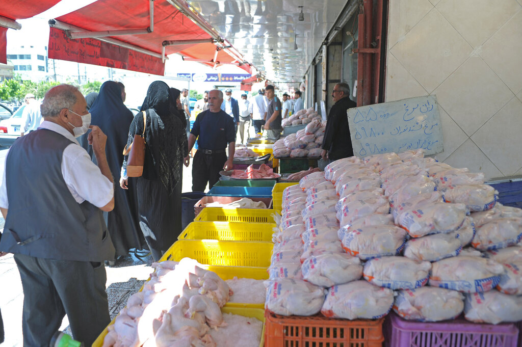 بازار عرضه گوشت مرغ