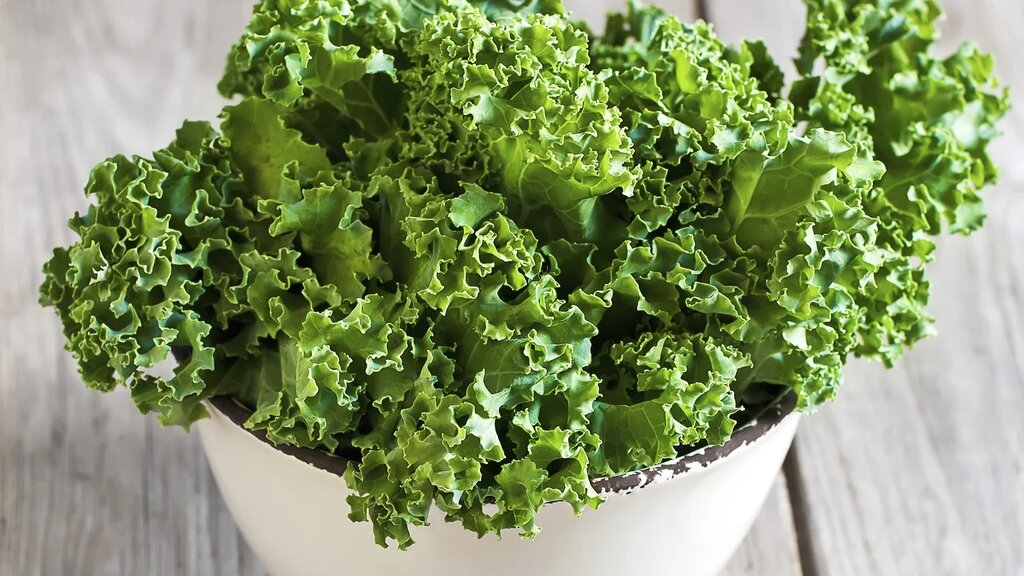 Curly kale - کلم کیل - سبزیجات