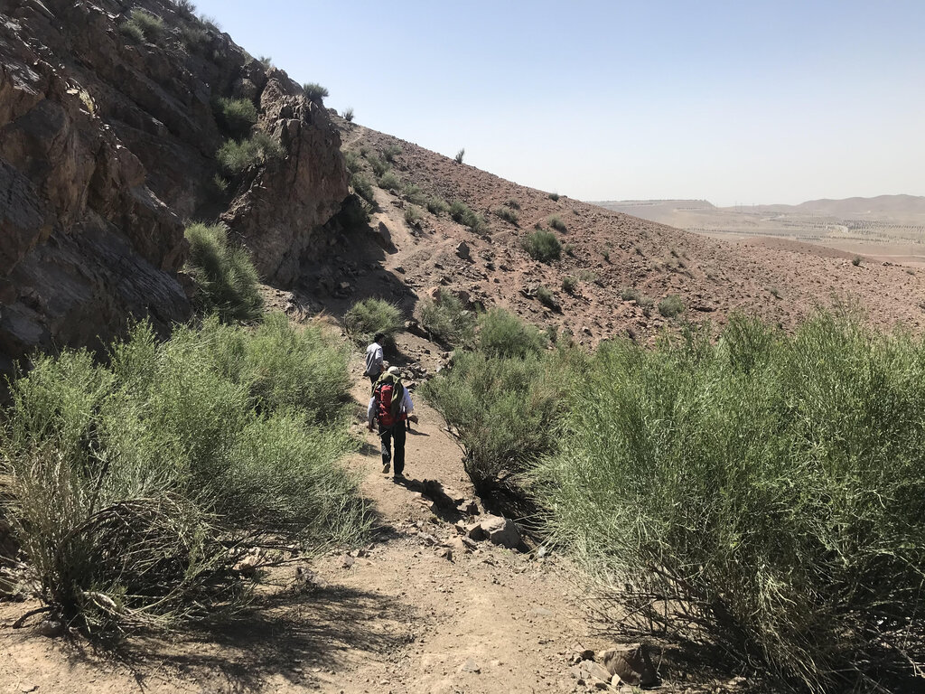 تماشای تهران از ارتفاعات دالخانه | تل بادامهای پایتخت اینجاست