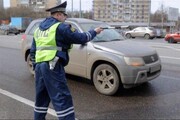 ببینید | راهکار پلیس روسیه برای عبور اردک‌ها از خیابان!