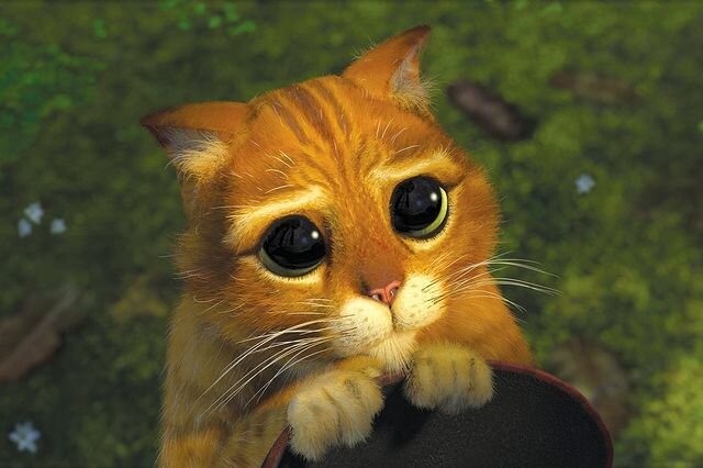 تصاویر | انیمیشن محبوب برنده اسکار ۲۱ ساله شد