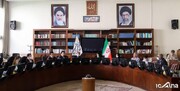 ورود مجلس به ماجرای مرگ توله‌های یوزپلنگ‌ ایران | جزئیات جلسه؛ پاسخ‌های معاون سازمان محیط زیست