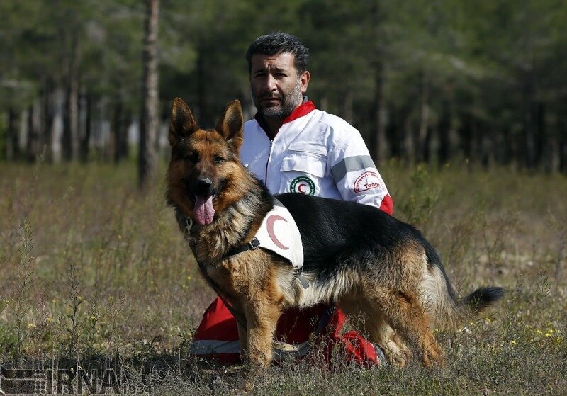 سگ زنده یاب - عملیات نجات هلال احمر